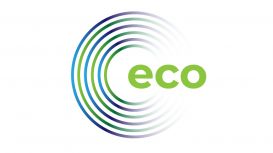 Eco Friendly Carpet Cleaning