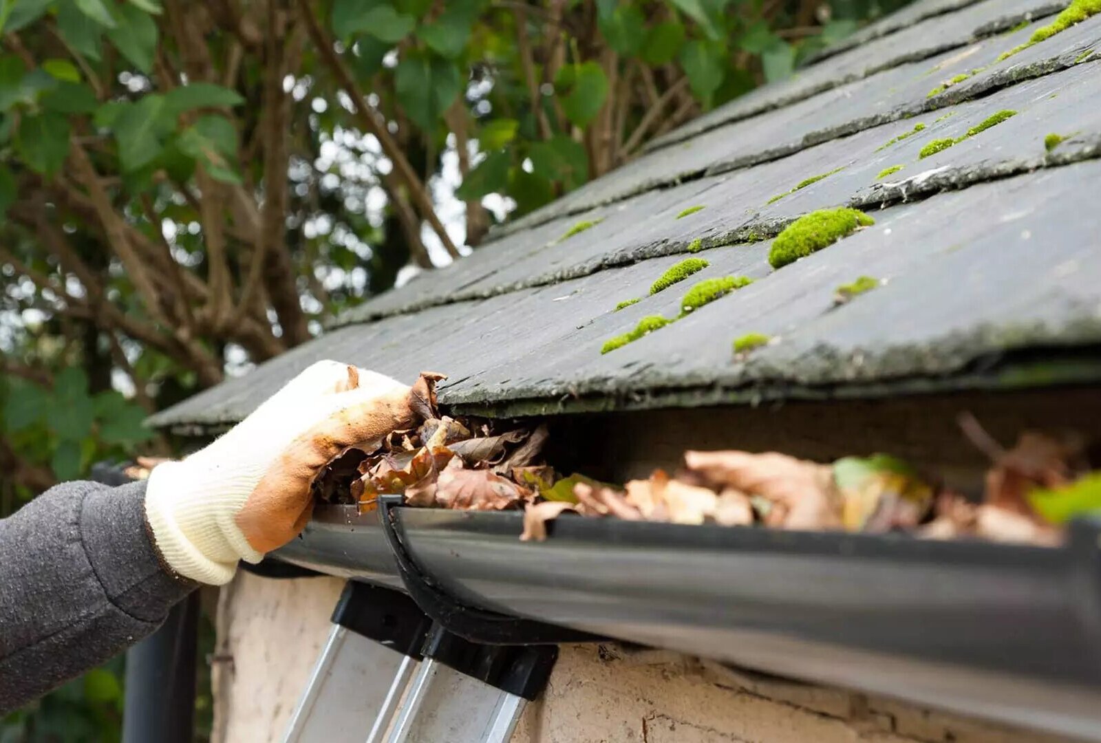 Gutter cleaning