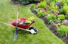 Gardening Services