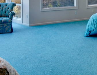 Carpet Cleaning