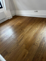 End-of-Tenancy / Move-Out