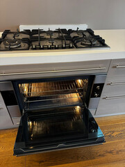 Professional Oven Cleaning