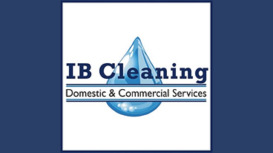 I B Cleaning