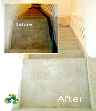 Carpet Cleaning