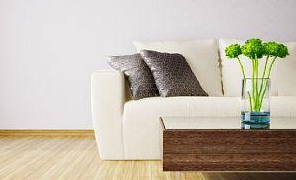 Upholstery Cleaning