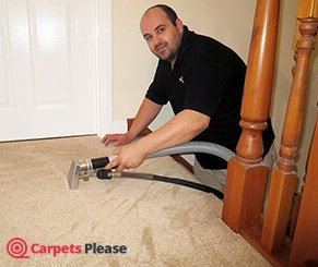 Carpet Cleaning