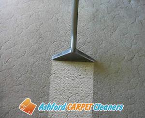 Carpet Cleaning