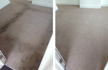 Carpet Cleaning