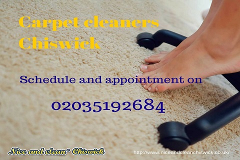 Carpet Cleaning