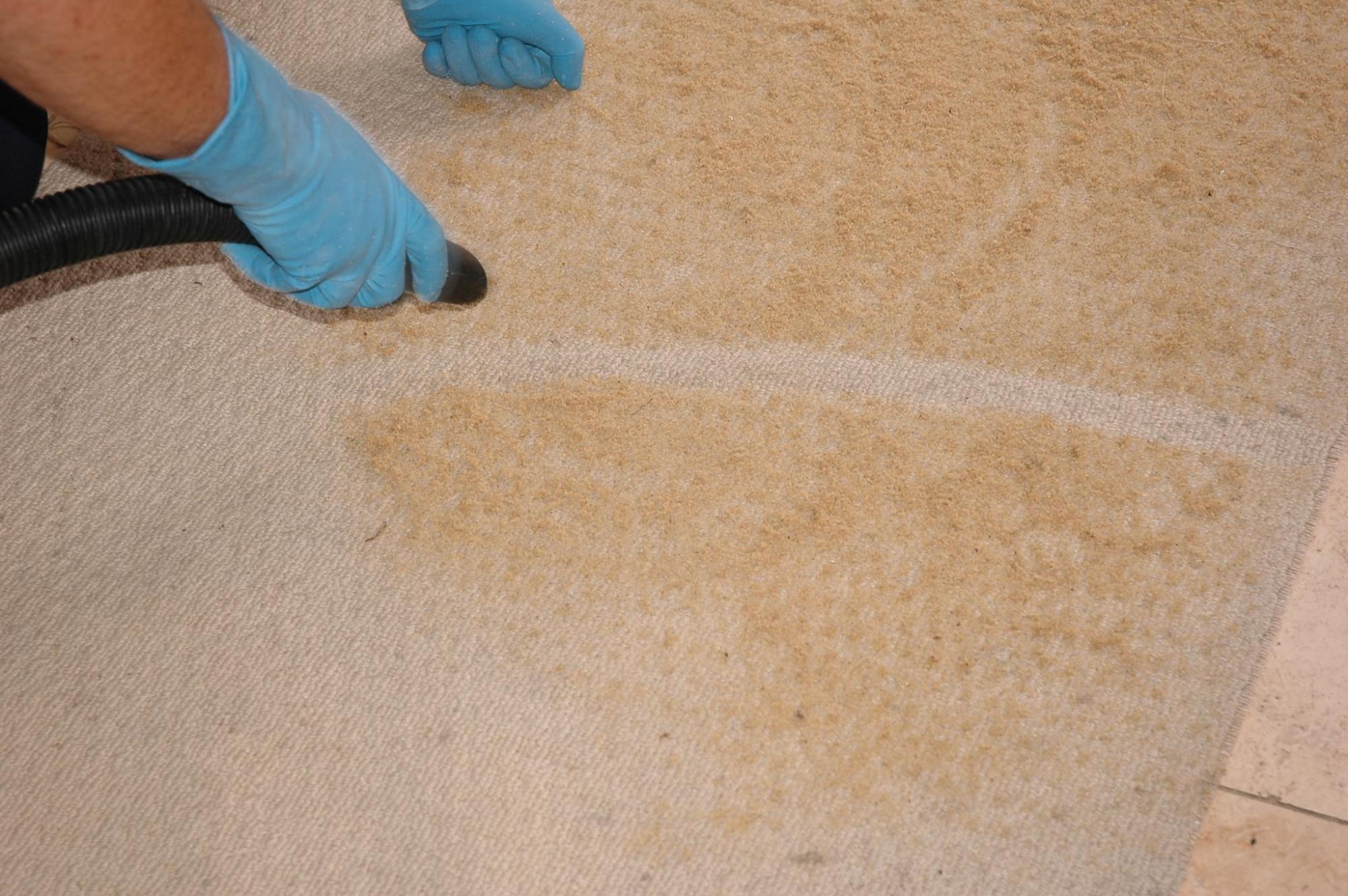 Carpet cleaning in London