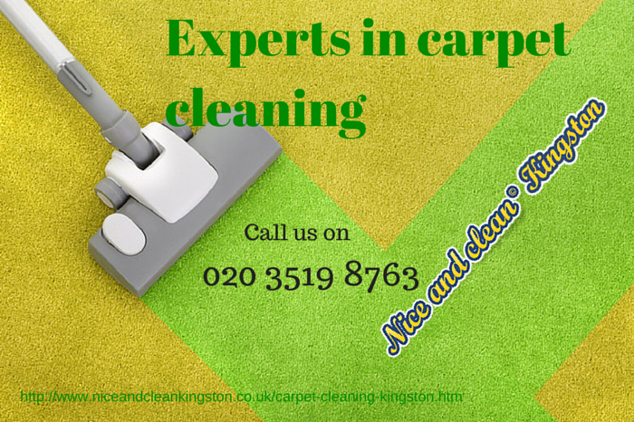 Carpet Cleaning