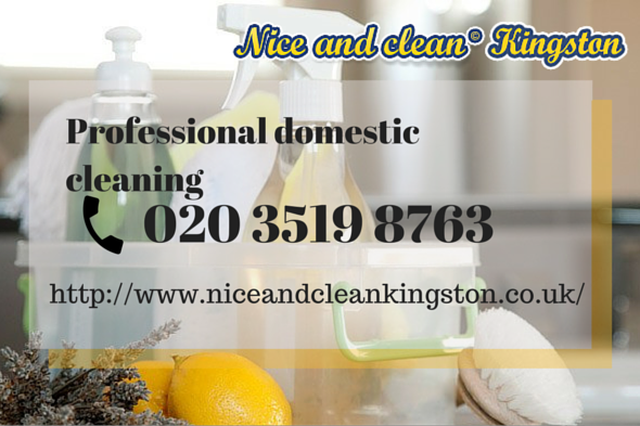 Domestic Cleaning