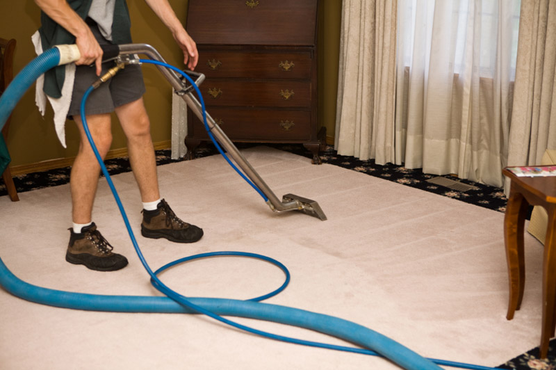 Carpet and Rug Cleaning