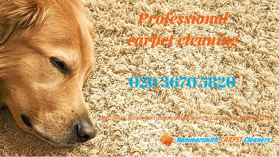 Carpet Cleaning