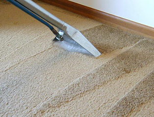 Carpet and Upholstery Cleaning