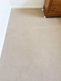 Carpet Cleaning