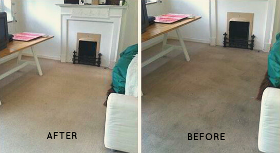 Carpet and Upholstery Cleaning