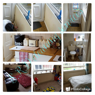 Domestic Cleaning 0 Domestic Cleaning
