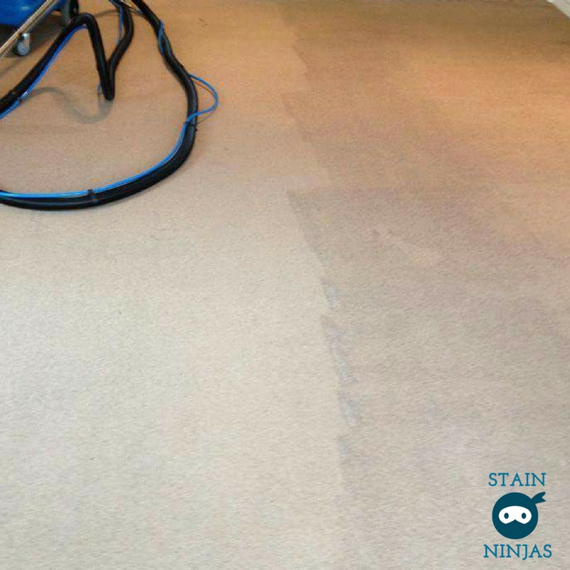 Carpet Cleaning