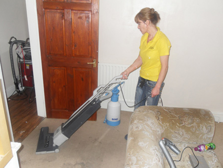 Carpet Cleaning