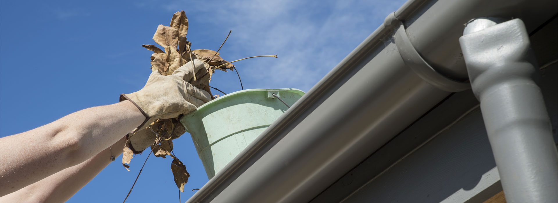 Gutter Cleaning