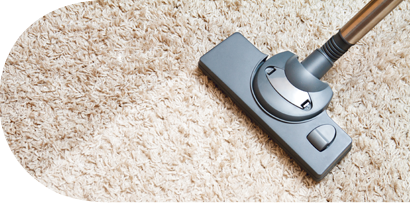 Professional Carpet Cleaning