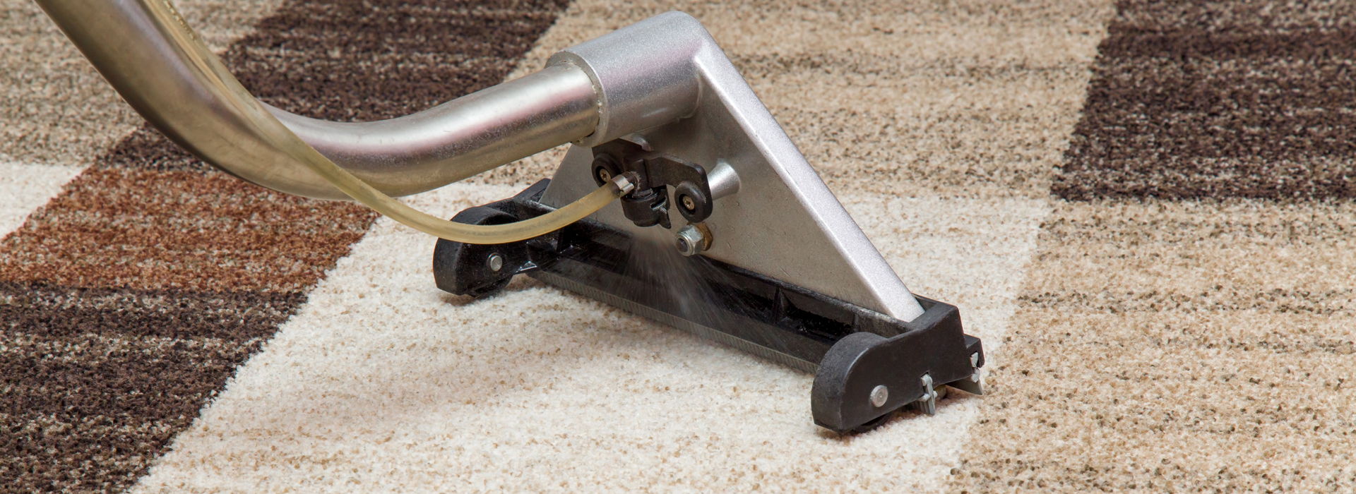 Professional Carpet Cleaning