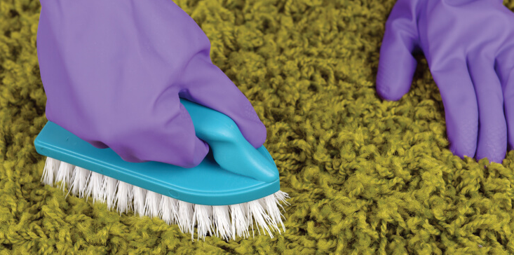 Carpet Cleaners 0 Carpet Cleaners