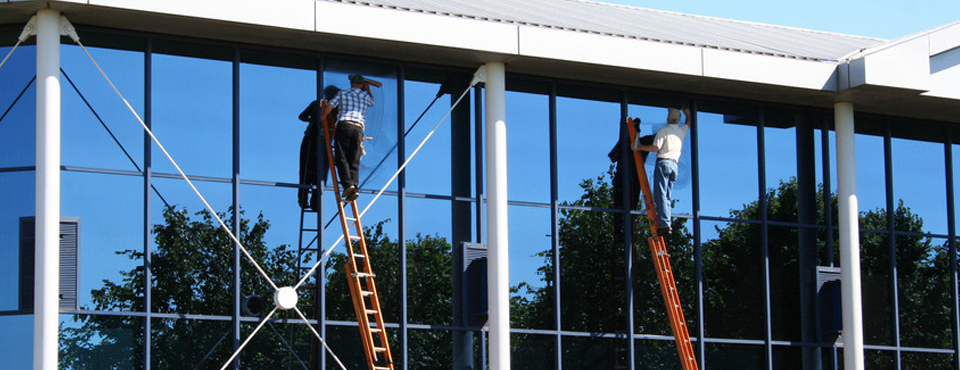 Ladders Traditional Cleaning