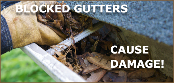 Gutter Cleaning