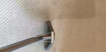 Cleaning Carpets