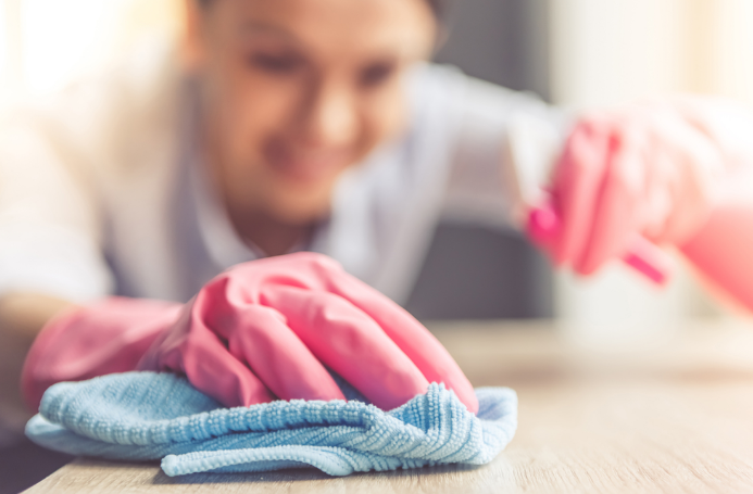 Domestic Cleaning