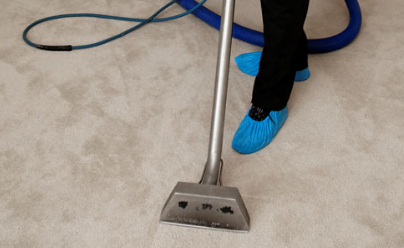 Professional Carpet Cleaning Services