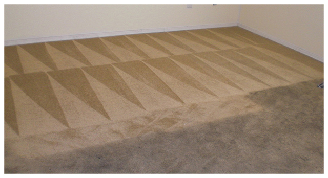 Carpet Cleaning