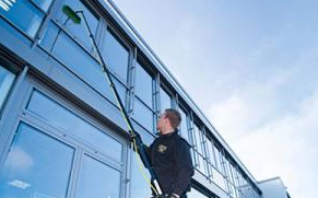 Window Cleaning Services