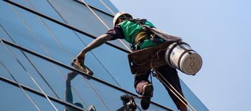 Window Cleaning