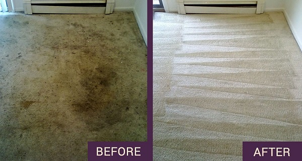 Carpet cleaning Sutton