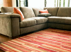 Upholstery Cleaning