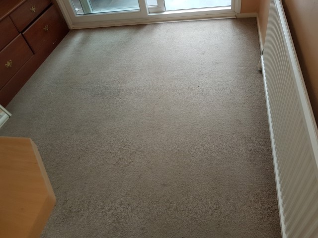 Carpet Cleaning Service