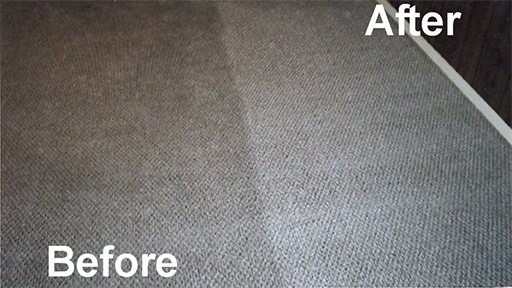 Carpet Cleaning