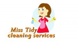 Miss Tidy Cleaning Service