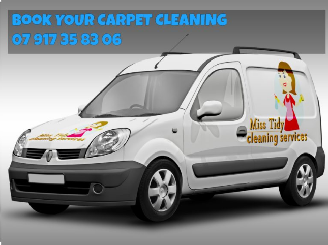 Carpet Cleaning