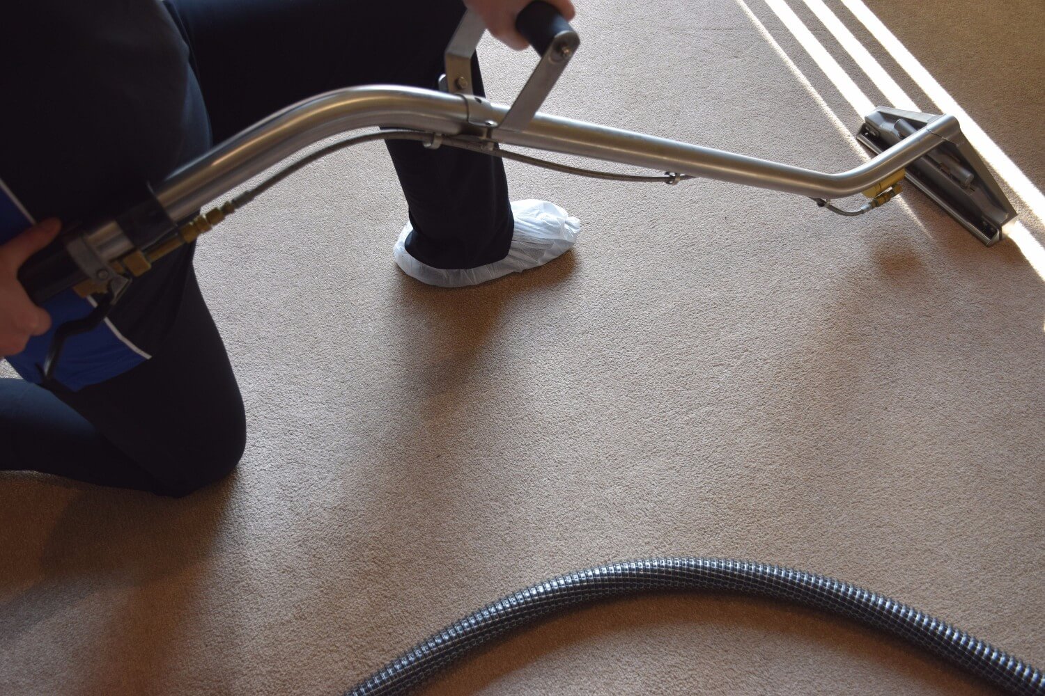 Carpet Cleaning