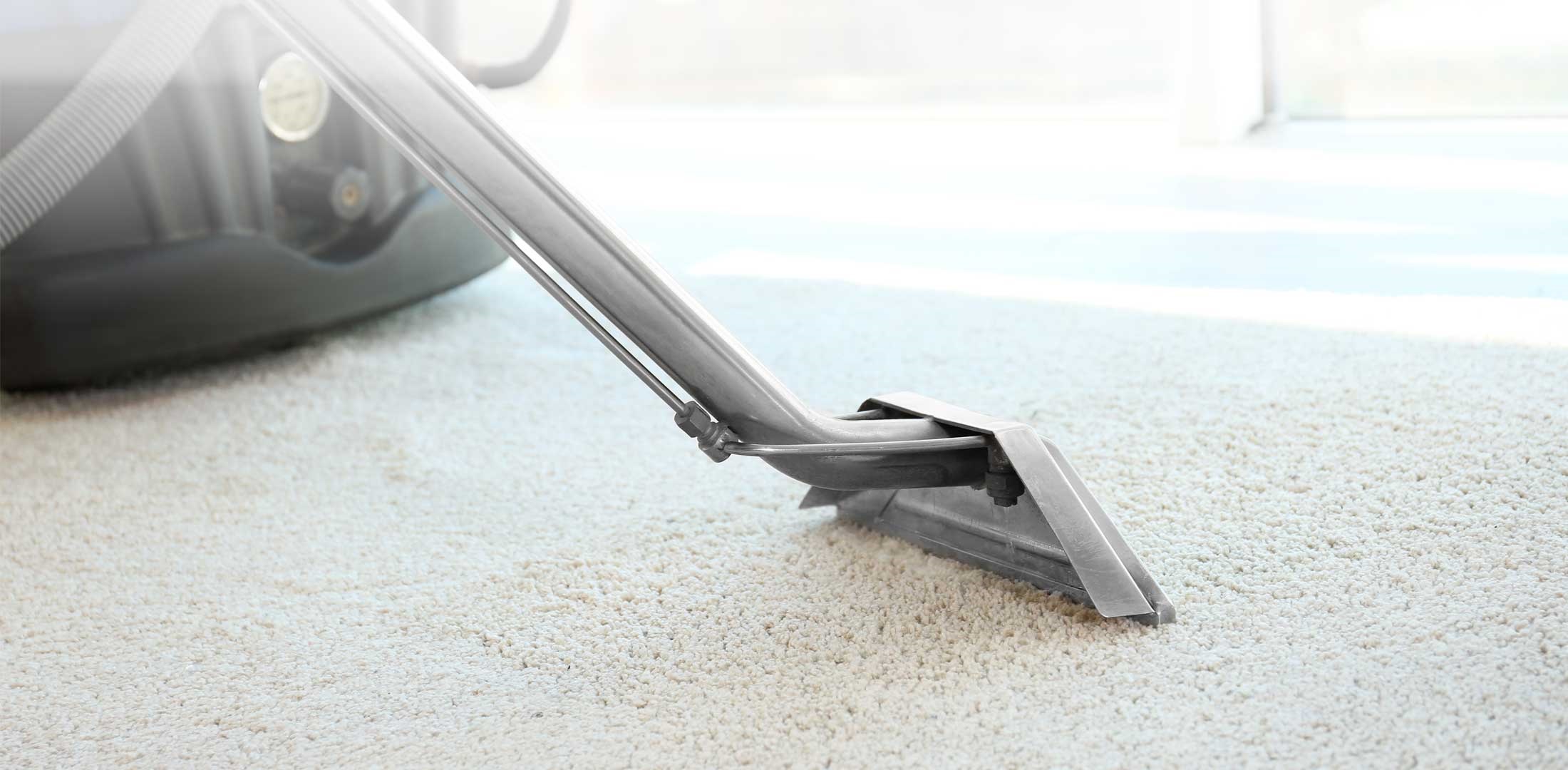 Carpet Cleaning