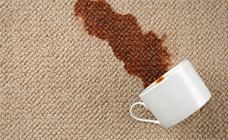 Carpet Cleaning