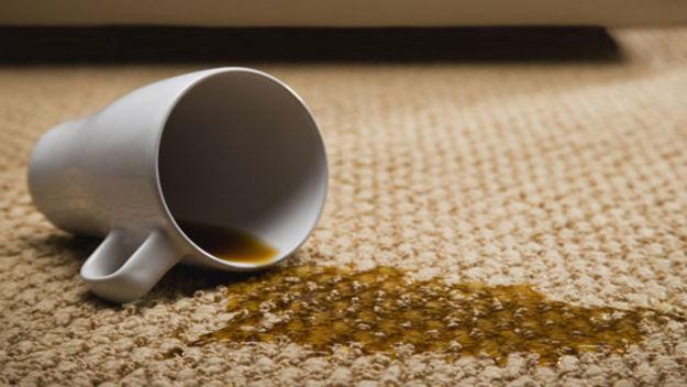 Carpet Cleaning