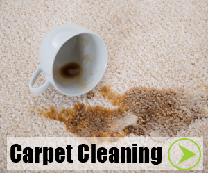 Carpet Cleaning