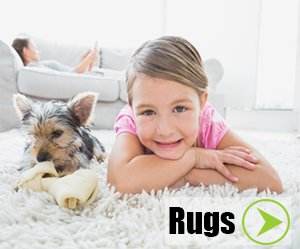 Rug Cleaning 0 Rug Cleaning