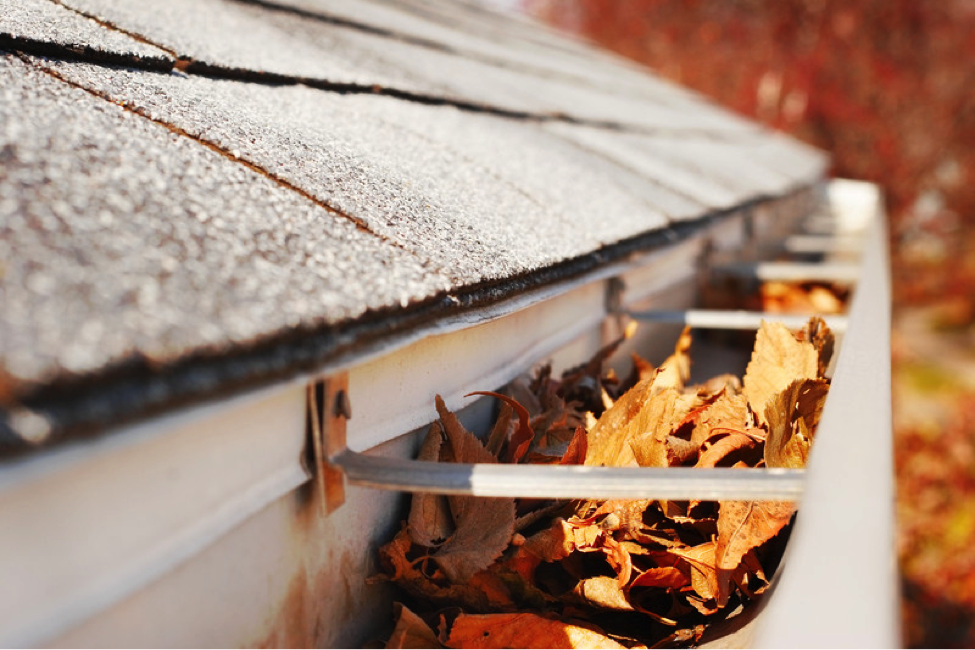 Gutter Cleaning