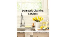 Domestic Cleaning Services